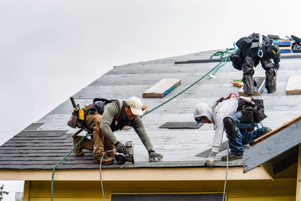 Professional Roofing technician working in Niagara, ND